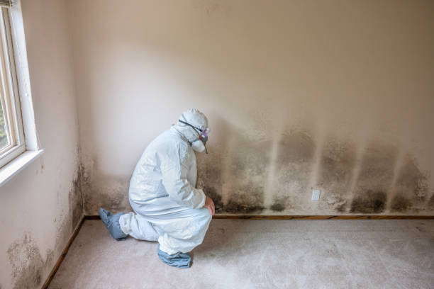 Best Crawl Space Mold Removal  in Beach City, TX